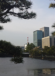 Tokyo by EM