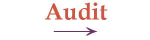 audit